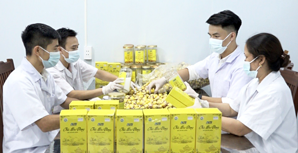 Bac Giang changes production mindset, improves OCOP product quality